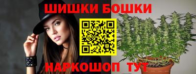гидропоника Будённовск