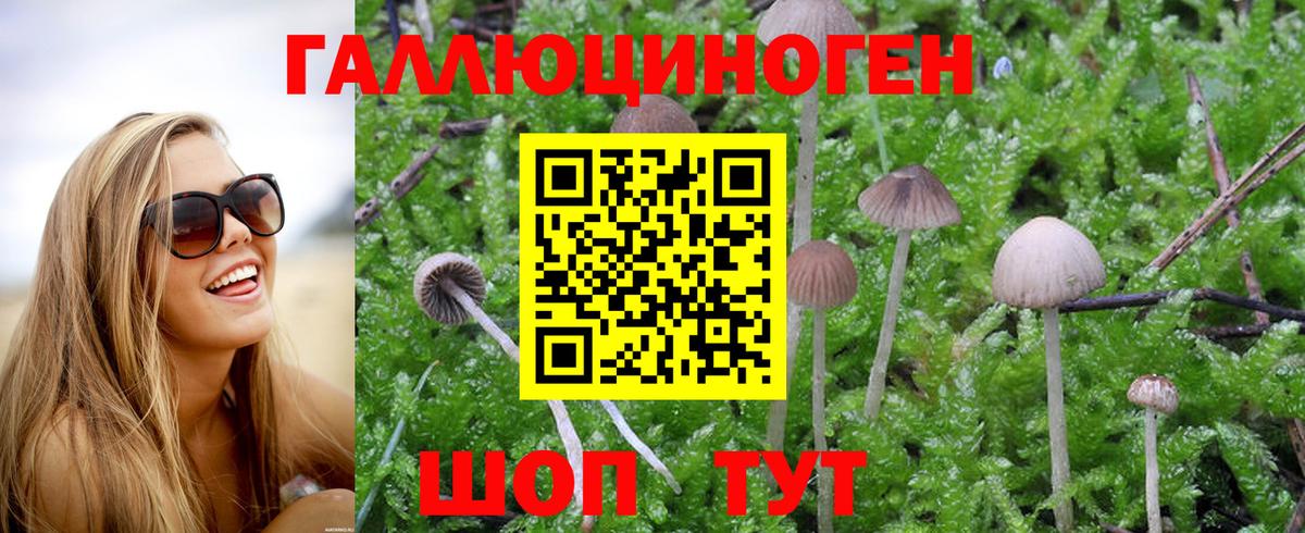 Галлюциногенные грибы мухоморы  Галлюциногенные грибы Psilocybe  Тихвин  Вход с VPN 