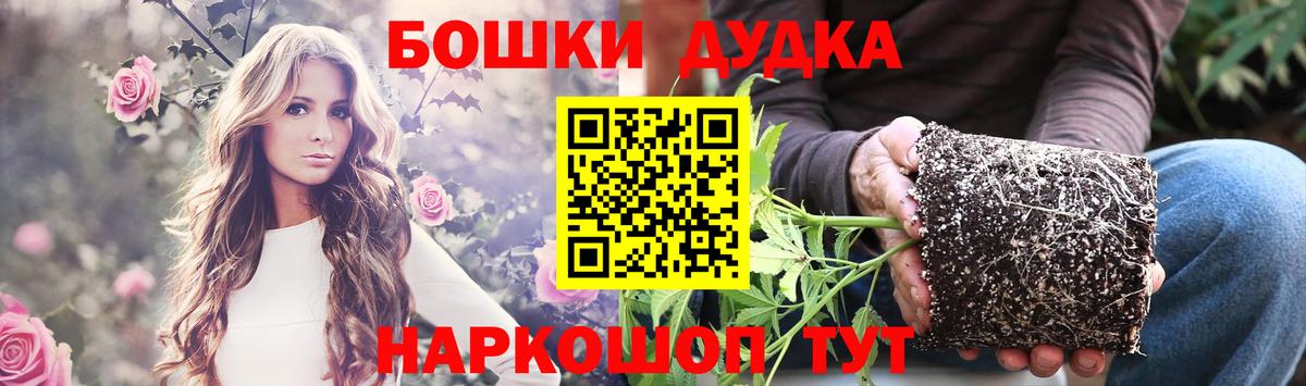 Марихуана Bruce Banner  МАРИХУАНА сатива  Вход с VPN  Тихвин  Бошки Шишки планчик 